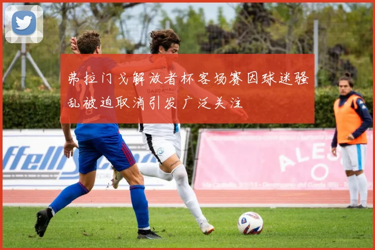 弗拉门戈解放者杯客场赛因球迷骚乱被迫取消引发广泛关注